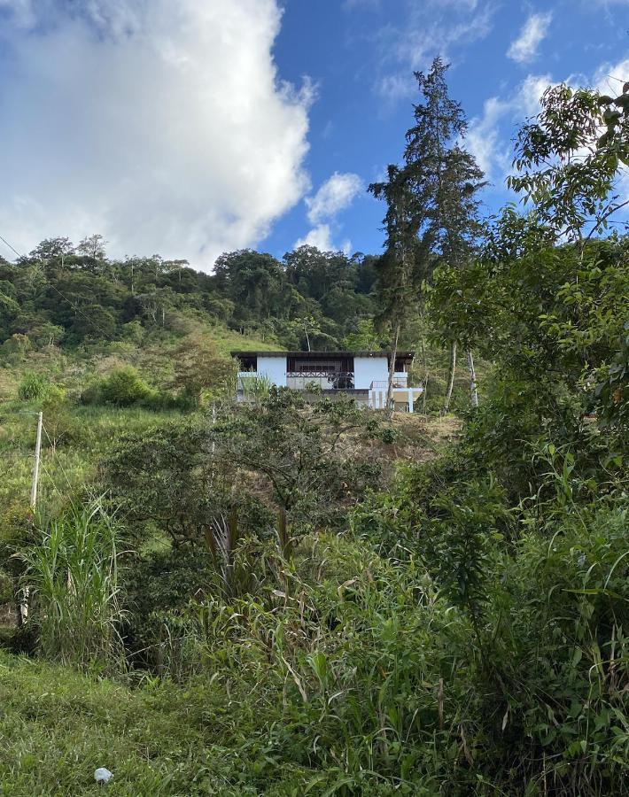 Arte De Plumas Birding Lodge カルタゴ エクステリア 写真