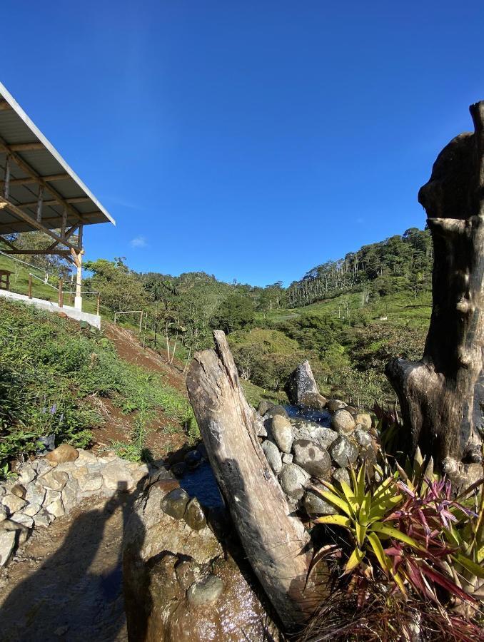 Arte De Plumas Birding Lodge カルタゴ エクステリア 写真