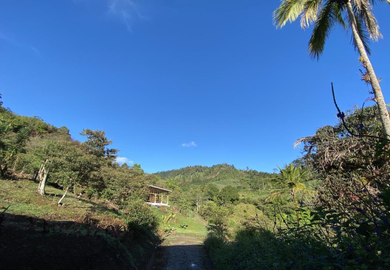 Arte De Plumas Birding Lodge カルタゴ エクステリア 写真