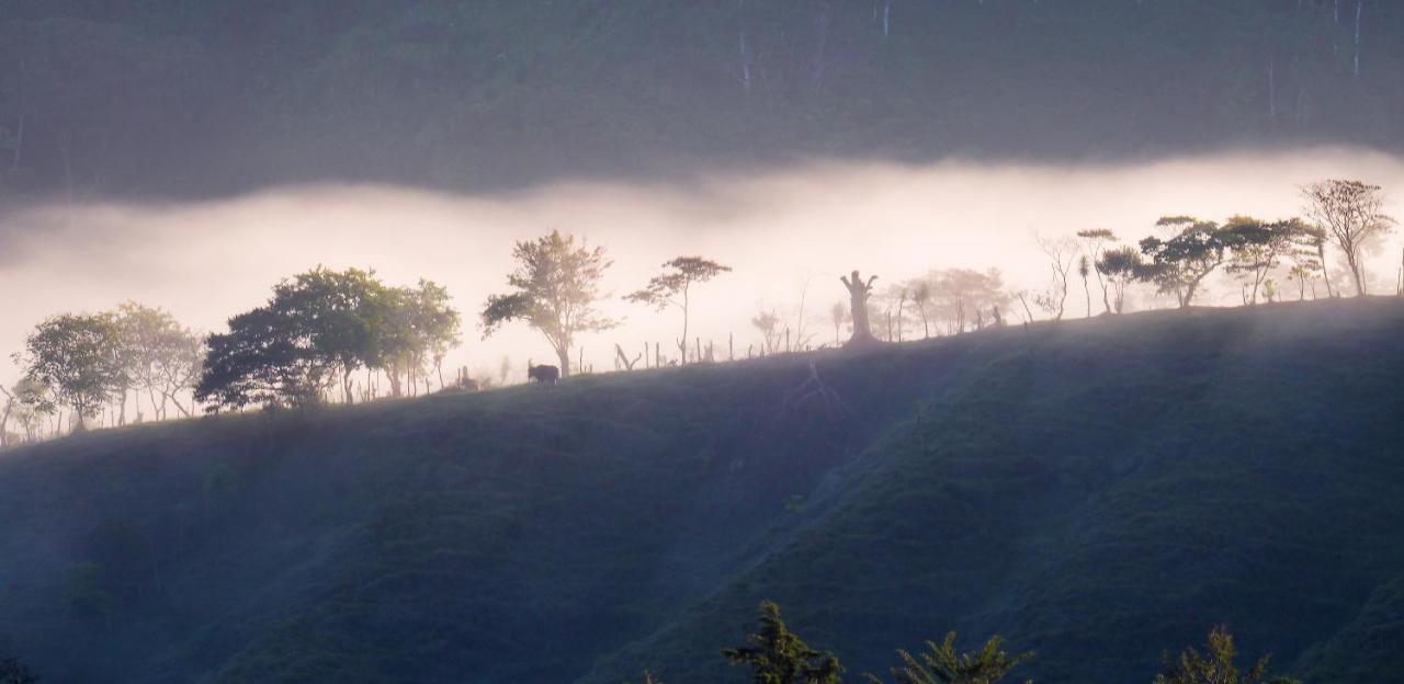 Arte De Plumas Birding Lodge カルタゴ エクステリア 写真