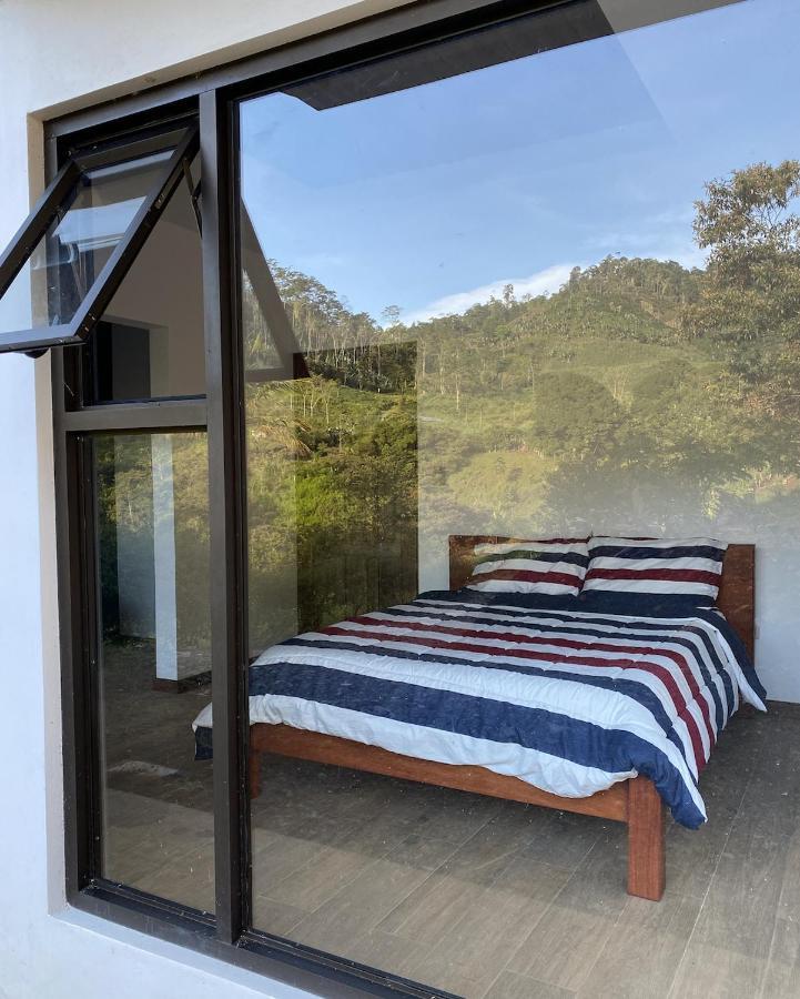 Arte De Plumas Birding Lodge カルタゴ エクステリア 写真